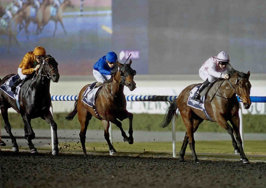 Lily's Angel - Dubai International Racing Carnival Meydan 10th Jan 2013